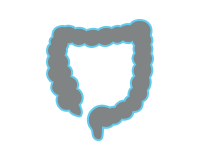 Bio Medical Healthcare