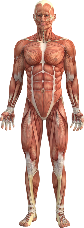 Bio Medical Healthcare